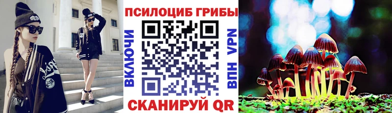 Галлюциногенные грибы Psilocybe Приморск